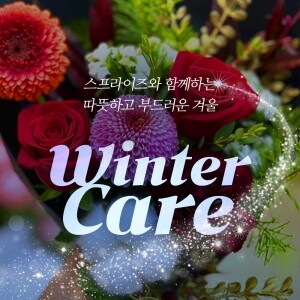 윈터케어 (Winter Care)<br> 크리스마스 플라워&코스메틱 세트