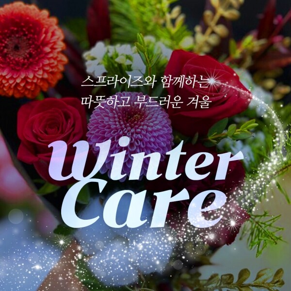 스프라이즈,윈터케어 (Winter Care) 크리스마스 플라워&코스메틱 세트